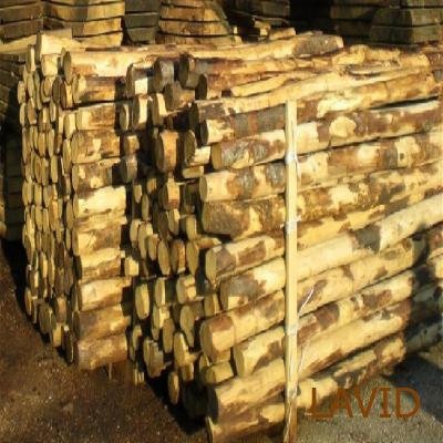 Postes de madera para vinedos y huertas - lavid - es